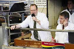 Frome Livestock Auctioneers