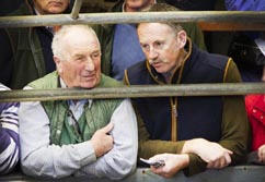 Frome Livestock Auctioneers