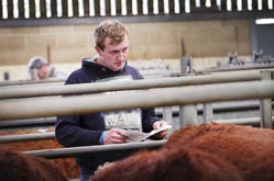 Frome Livestock Auctioneers