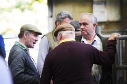 Frome Livestock Auctioneers