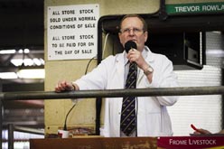 Frome Livestock Auctioneers