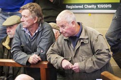 Frome Livestock Auctioneers