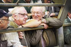 Frome Livestock Auctioneers