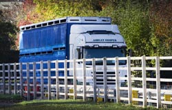 Frome Livestock Auctioneers