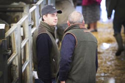 Frome Livestock Auctioneers