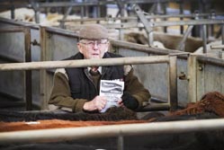 Frome Livestock Auctioneers