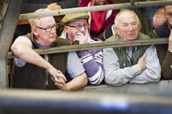 Frome Livestock Auctioneers