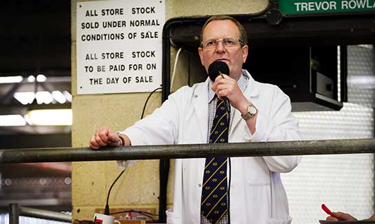 Frome Livestock Auctioneers Sale Preview