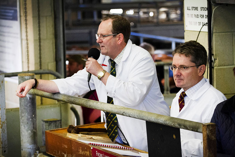 Frome Livestock Auctioneers Sale Preview